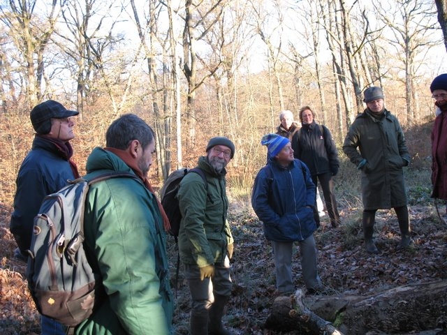 2007 11 Etangs de Hollande 09